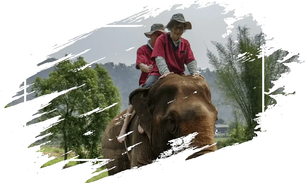 jahanje slona