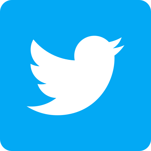 twiter ikonica
